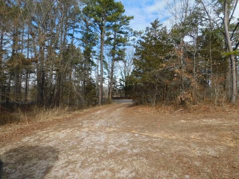 8170 Old Highway 60, Birch Tree, MO 65438 photo 1