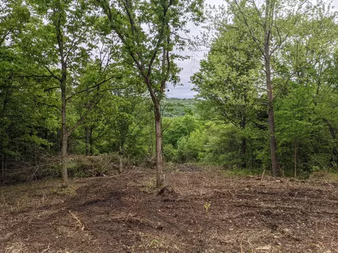 160 Bryant St, Forsyth, MO 65653 photo 1