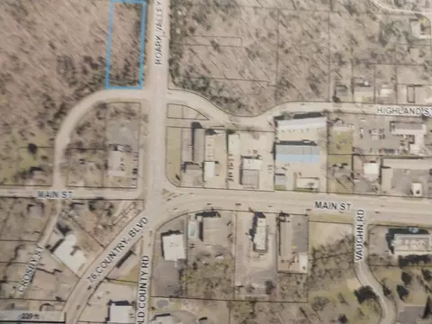 000 Roark Valley Rd, Branson, MO 65616 photo 2
