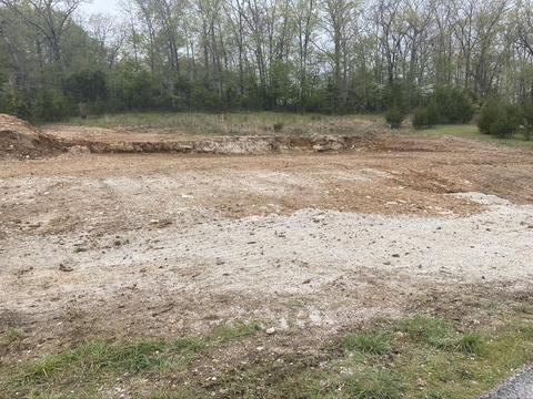 345 Kiier Ct, Branson, MO 65616 photo 1