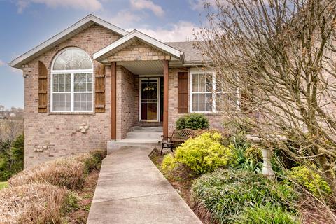 341 Mesquite Dr, Branson, MO 65616 photo 1