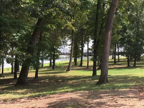 50 Jax Trail, Indian Point, MO 65616 photo 1