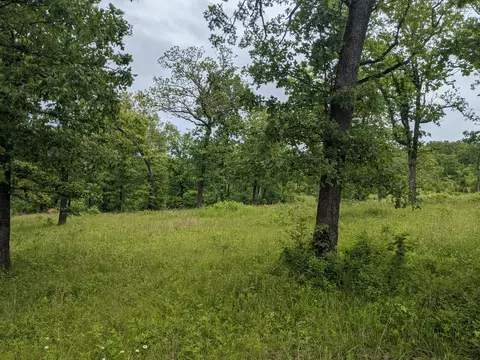 111 Flat Tops Dr, Forsyth, MO 65653 photo 1