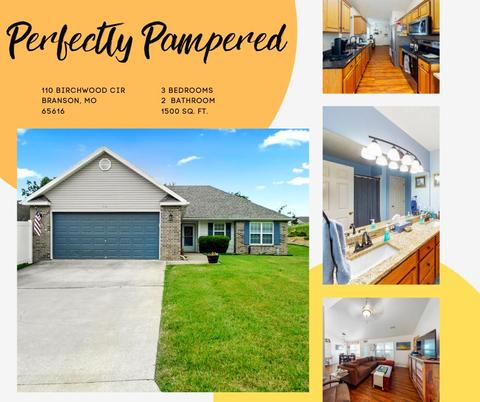 110 Birchwood Cir, Branson, MO 65616 photo 1