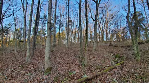 000 Hideaway St, Branson, MO 65616 photo 3