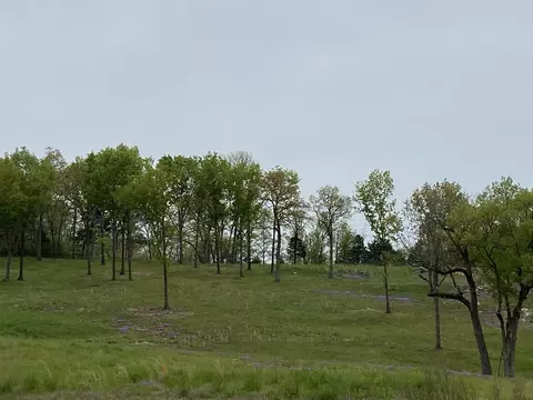 950 E State Hwy 76, Branson, MO 65616 photo 1