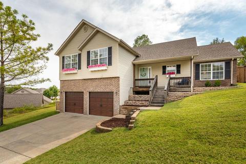 151 Sapling Dr, Branson, MO 65616 photo 1