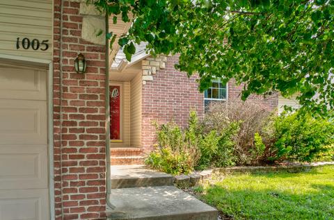 1005 W Cobblefield Way, Ozark, MO 65721 photo 1