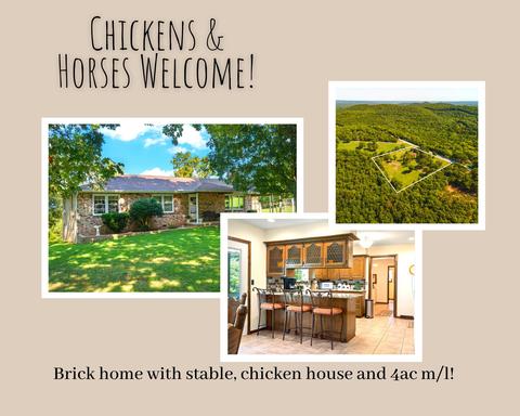 2383 State Highway 39, Shell Knob, MO 65747 photo 1
