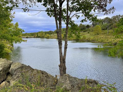 213 Sunrise Cv, Branson, MO 65616 photo 1