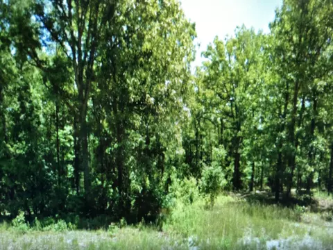 1974 State Hwy Dd, Bruner, MO 65620 photo 1