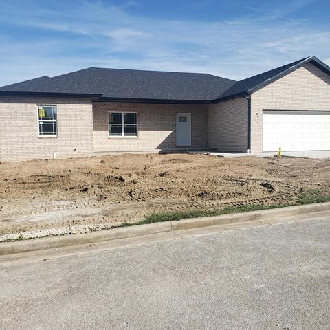 904 Lakeview Dr, Aurora, MO 65605 photo 1