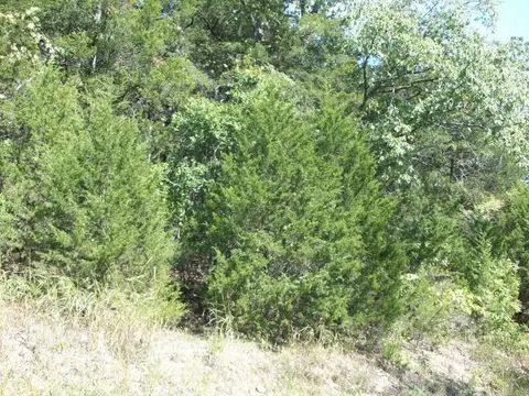 000 Cahill, Branson, MO 65616 photo 5