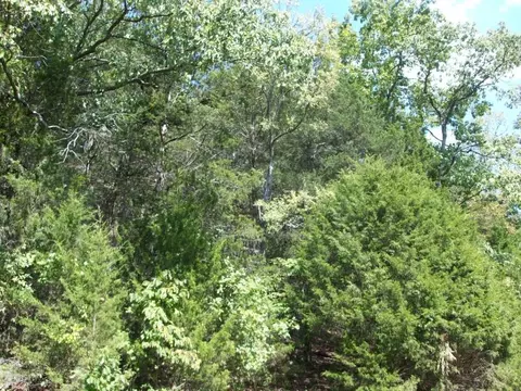 000 Cahill, Branson, MO 65616 photo 7