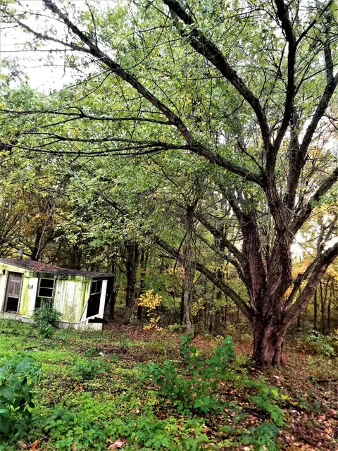 245 Walker Rd, Chadwick, MO 65629 photo 1