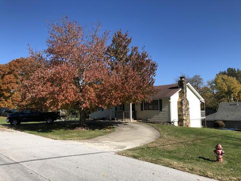 310 S Delaware St, Nixa, MO 65714 photo 1