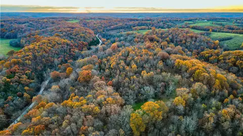 2402 Dares Rd, Crane, MO 65633 photo 1