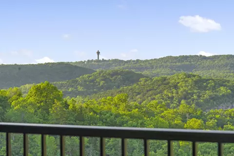 3002 N Vineyards Ter #1, Branson, MO 65616 photo 19