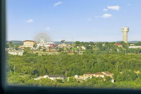 3002 N Vineyards Ter #1, Branson, MO 65616 photo 21