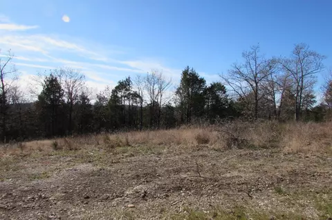 2212 Emory Creek Blvd, Branson, MO 65616 photo 1
