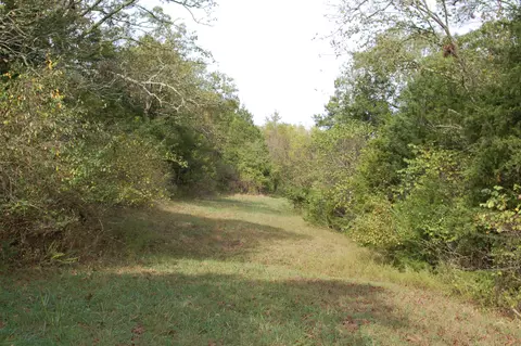 275 Tower Rd, Forsyth, MO 65653 photo 1