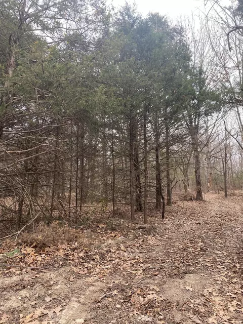 lot1 Hunter Ln, Shell Knob, MO 65747 photo 13