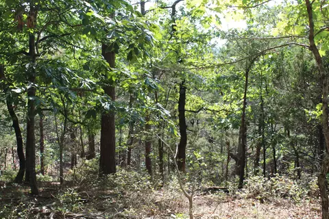 000 Eagle Ridge Road Lot 28 Rd, Protem, MO 65733 photo 7
