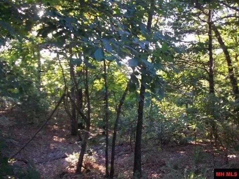 000 Eagle Ridge Road Lot 28 Rd, Protem, MO 65733 photo 24
