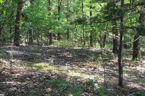 000 Eagle Ridge Road Lot 28 Rd, Protem, MO 65733 photo 5