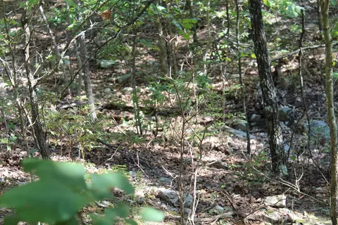 000 Eagle Ridge Road Lot 28 Rd, Protem, MO 65733 photo 14