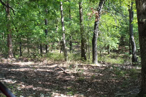 000 Eagle Ridge Road Lot 28 Rd, Protem, MO 65733 photo 10