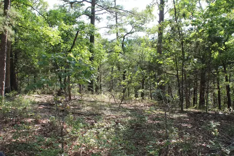 000 Eagle Ridge Road Lot 28 Rd, Protem, MO 65733 photo 4