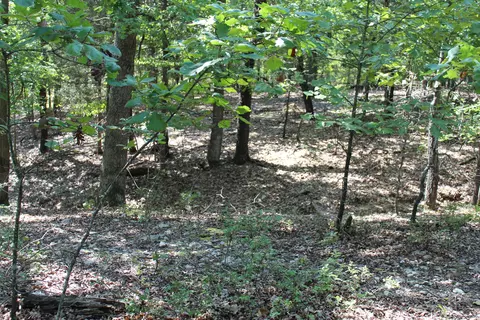 000 Eagle Ridge Road Lot 28 Rd, Protem, MO 65733 photo 3