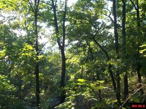 000 Eagle Ridge Road Lot 28 Rd, Protem, MO 65733 photo 23