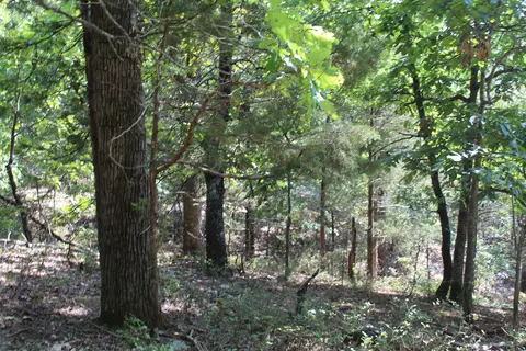 000 Eagle Ridge Road Lot 28 Rd, Protem, MO 65733 photo 8