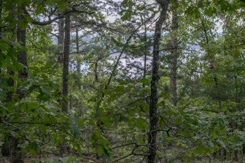 000 Eagle Ridge Road Lot 28 Rd, Protem, MO 65733 photo 20