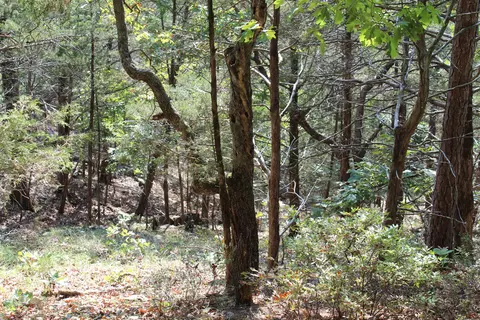 000 Eagle Ridge Road Lot 28 Rd, Protem, MO 65733 photo 15