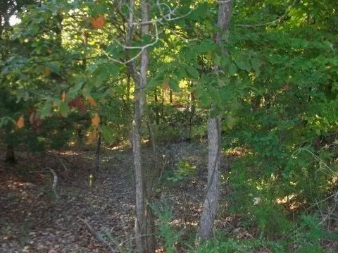 000 Eagle Ridge Road Lot 28 Rd, Protem, MO 65733 photo 22