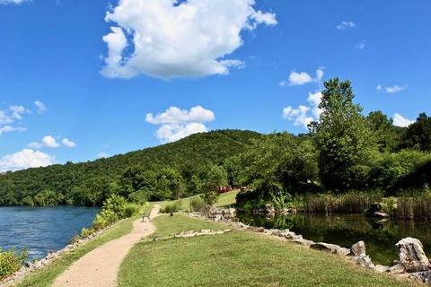 405 Lookout Flts, Branson, MO 65616 photo 45