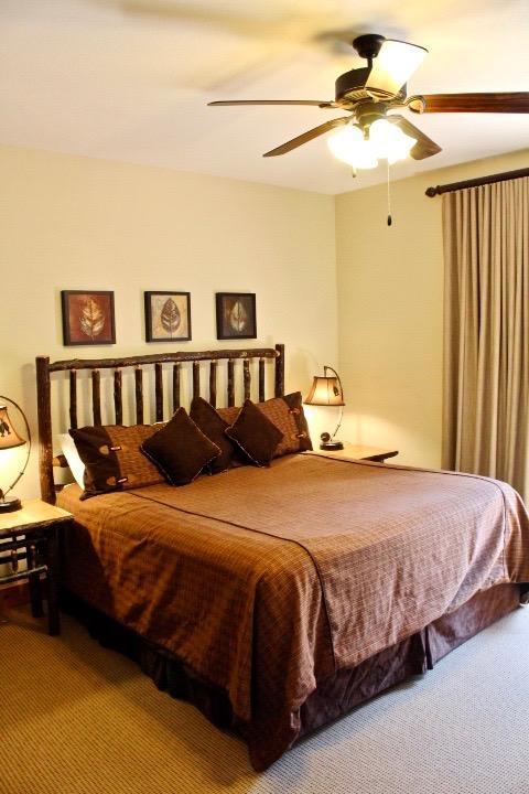 405 Lookout Flts, Branson, MO 65616 photo 10