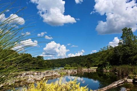 404 Lookout Flts, Branson, MO 65616 photo 40