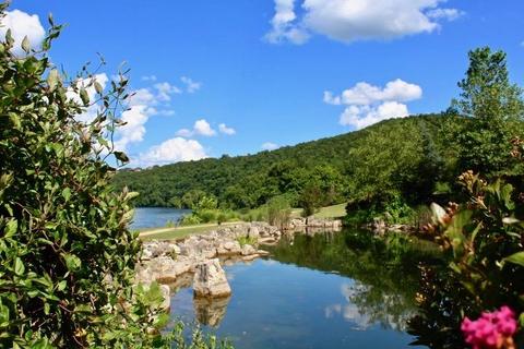 404 Lookout Flts, Branson, MO 65616 photo 46