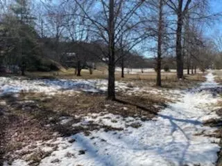 000 Lot 8 Foggy River Rd, Hollister, MO 65672