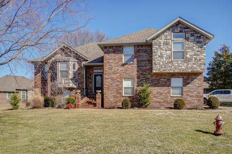 73 Remington Dr, Monett, MO 65708 photo 1