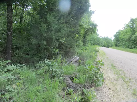 593 County Road 259, Myrtle, MO 65778 photo 1