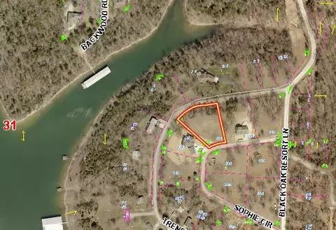 25 Sophie Cir, Lampe, MO 65681 photo 1