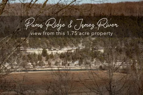 lot203 Lone Oak Dr, Cape Fair, MO 65624