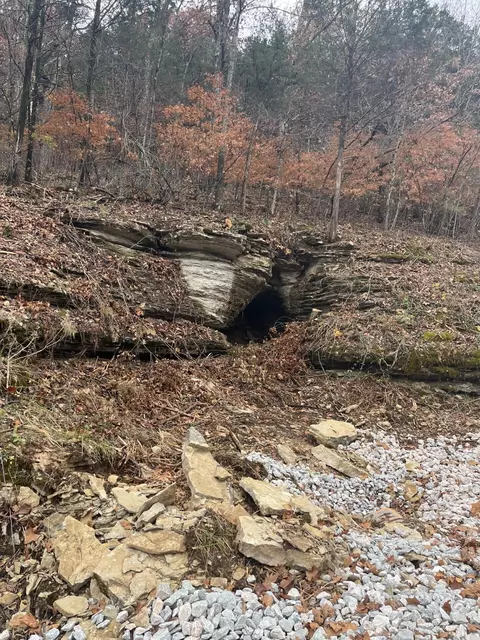lot213 Lone Oak Dr, Cape Fair, MO 65624