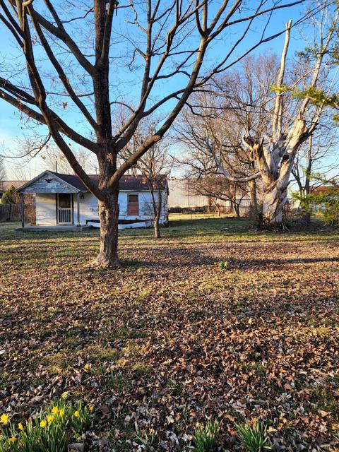 2433 E Atlantic St, Springfield, MO 65803 photo 1
