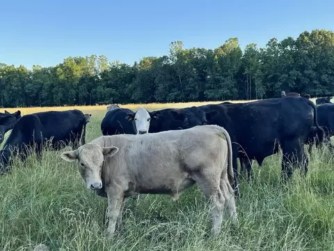 000 2625 Rd, Milo, MO 64767 photo 28